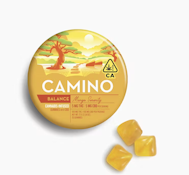 CAMINO 1:1 CBD Mango Serenity Gummies 20pk