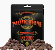 PACIFIC STONE 14G Purple Tangie Flower