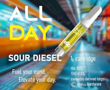 E29 Labs - All Day - Sour Diesel - 1g - Cartridge