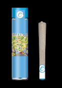 Cookies Indoor Flower 1g Preroll - Hollywood 22%