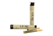 LEAL | Pistachio | 1G Preroll