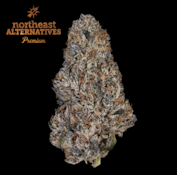 Trufflegasm | 3.5g NEA Premium | TAX INCLD