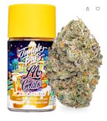 LA Gelato | 3.5g | Jungle Boys