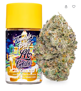 Jungle Boys - LA Gelato | 3.5g | Jungle Boys