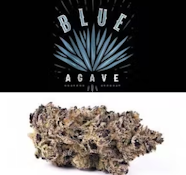 [REC] Cookies | Blue Agave | 7g littles