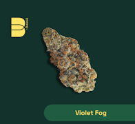 The Botanist | Violet Fog | 3.5g