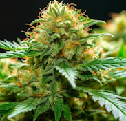 3.5g Sour Candylope - Hybrid