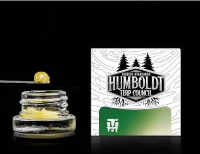 HUMBOLDT TERP COUNCIL - Humboldt Terp Council - 1g Live Resin - Lemon OG