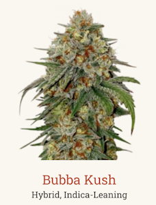 Victory Natural Farms - Bubba Kush 3.5g