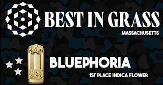 Bluephoria | Buds | 3.5g