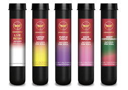 Strawberry Kiwi 1.25g Infused Preroll | Dragonfly