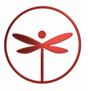 Black Maple 3.5g Flower | Dragonfly