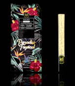 Paradiso Tropical (Rosin Infused) Halo - 1.9g (H) - Maven