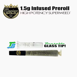 Caviar Gold - Caviar Gold l Cavi Cone l Lost Louie l 1.5g Infused Pre-Roll