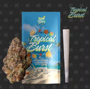 SEED JUNKY - Seed Junky - Tropical Burst - Preroll - 1G