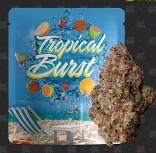 SEED JUNKY - Seed Junky - Tropical Burst - Flower - 3.5G