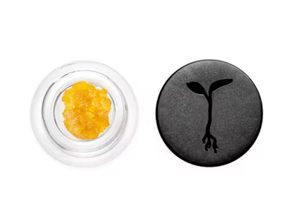 RAW GARDEN - Raw Garden - Concentrate - Apple Fritter #74 - 1G