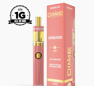 DIME INDUSTRIES - DIME 1G AIO Guavalicious Disposable