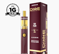 DIME 1G AIO Red Plum Disposable