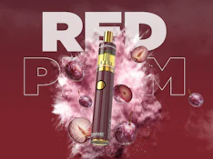 DIME INDUSTRIES - AIO - Red Plum - Signature Line - 1G