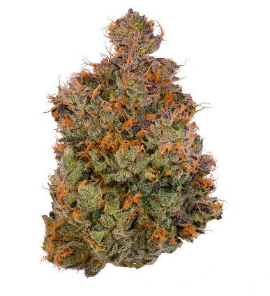 Duffys - Chems and Cherry | 14g | Duffys Main Image