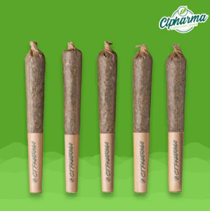 CT Pharma - Royale Shorties H 26109