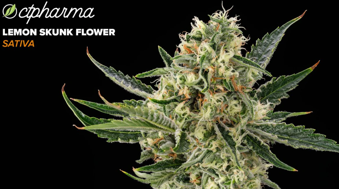 CT Pharma - Lemon Skunk Flower S 26249 Main Image