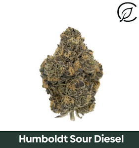 CURALEAF - Curaleaf Whole Flower 28g Humboldt Sour Diesel (S) 01012
