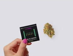 Sacci | Garlic Sauce | Dime Bag | 0.7g