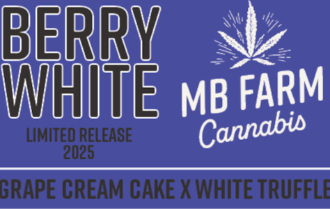 MB Farms - MB Farms - Berry White - 1g Preroll