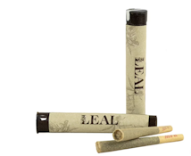 Fortune Cookie - 1g Pre-Roll