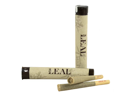LEAL - Fortune Cookie - 1g Pre-Roll