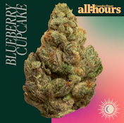 all:hours Blueberry Cupcake 41151