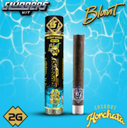 Sluggers Infused Blunt 2g Coconut Horchata