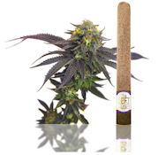 Grape Cookies - 2g Infused Blunt