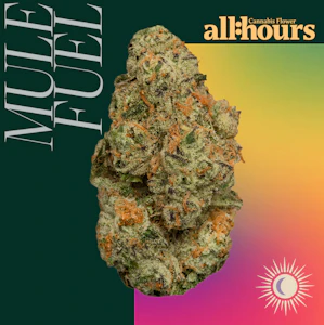 ALL HOURS - all:hours Mule Fuel 41205