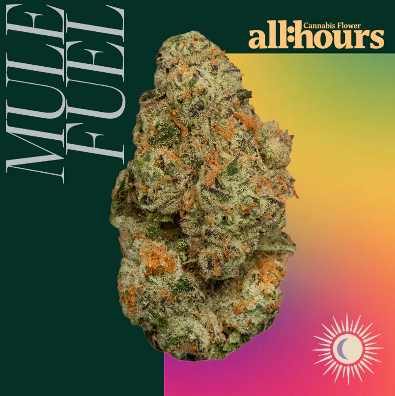 all:hours - all:hours Mule Fuel 41205 Main Image