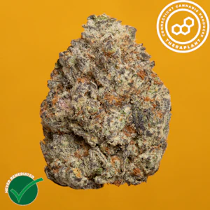 THERAPLANT - SBC 41229