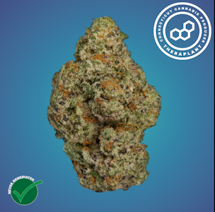 THERAPLANT - Purple Push P 41276