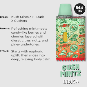 WAVVY - WAVVY Gush Mintz AIO 1g