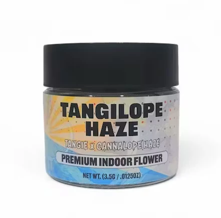 Zanna - Zanna - Flower - Tangilope Haze - 3.5G Main Image