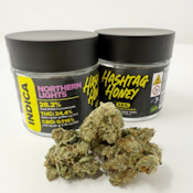 Hashtag Honey - Northern Lights - Flower - 3.5g