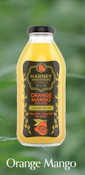 Harney Brothers - Orange Mango Juice (16oz) - 1:1 - 10mg - Single