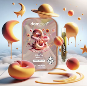 Dompen 1G Cartridge - Peach Ringz 95%