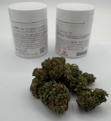 AGL 7g Durban Z (S) 00797