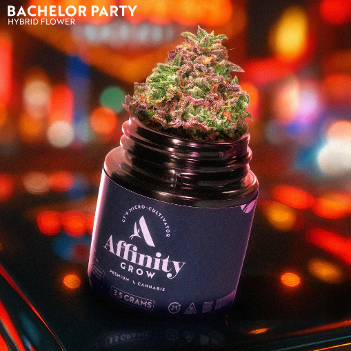 AFFINITY - Bachelor Party Flower T26.60% H 00657 Main Image