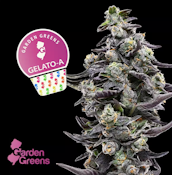 Flower | Mixed | Garden Greens | Gelato A | 7g