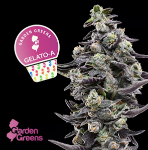 GARDEN GREENS - Flower | Mixed | Garden Greens | Gelato A | 7g