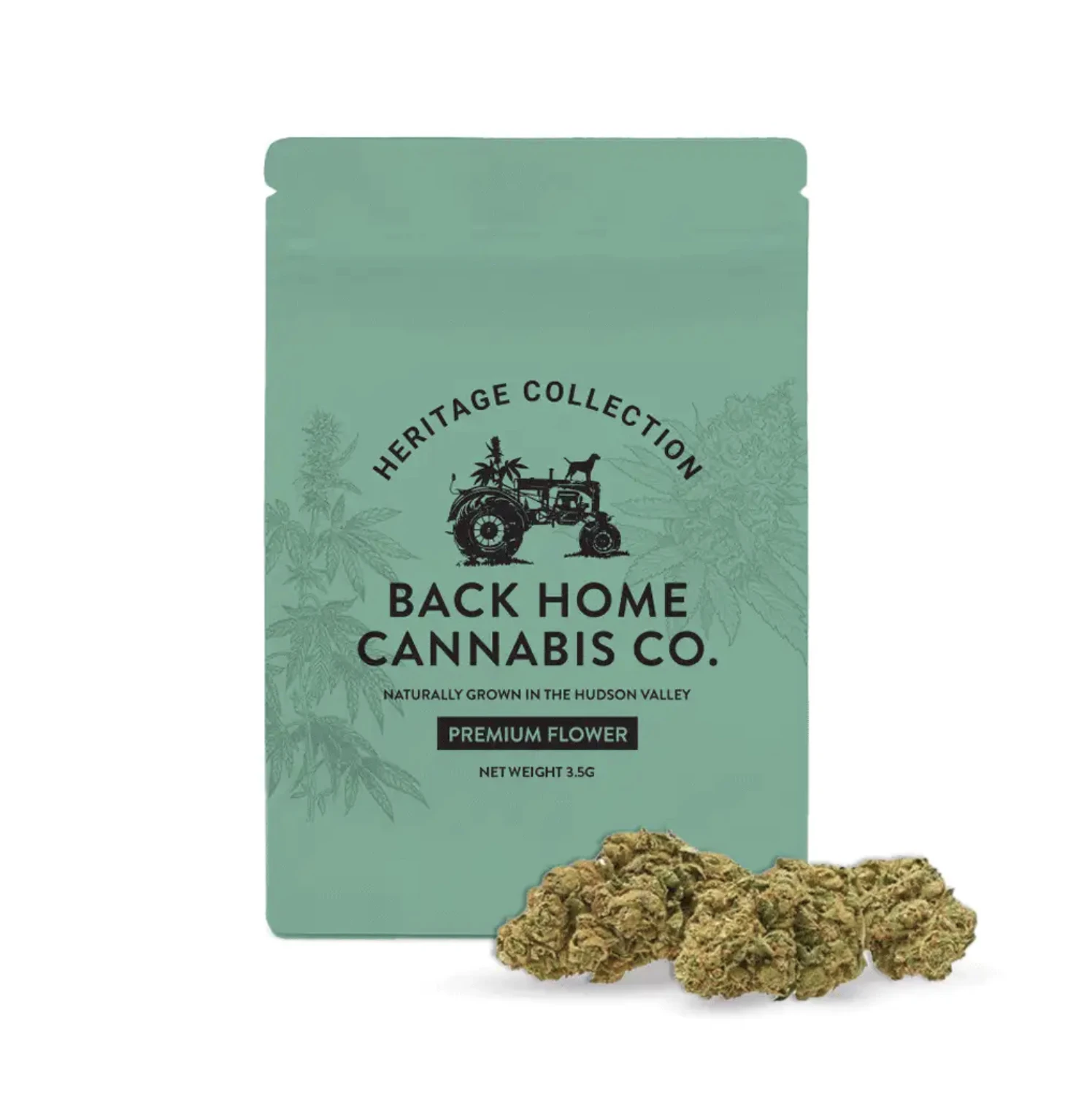 Back Home Cannabis Co. - Jack Herer - 3.5g Flower Main Image