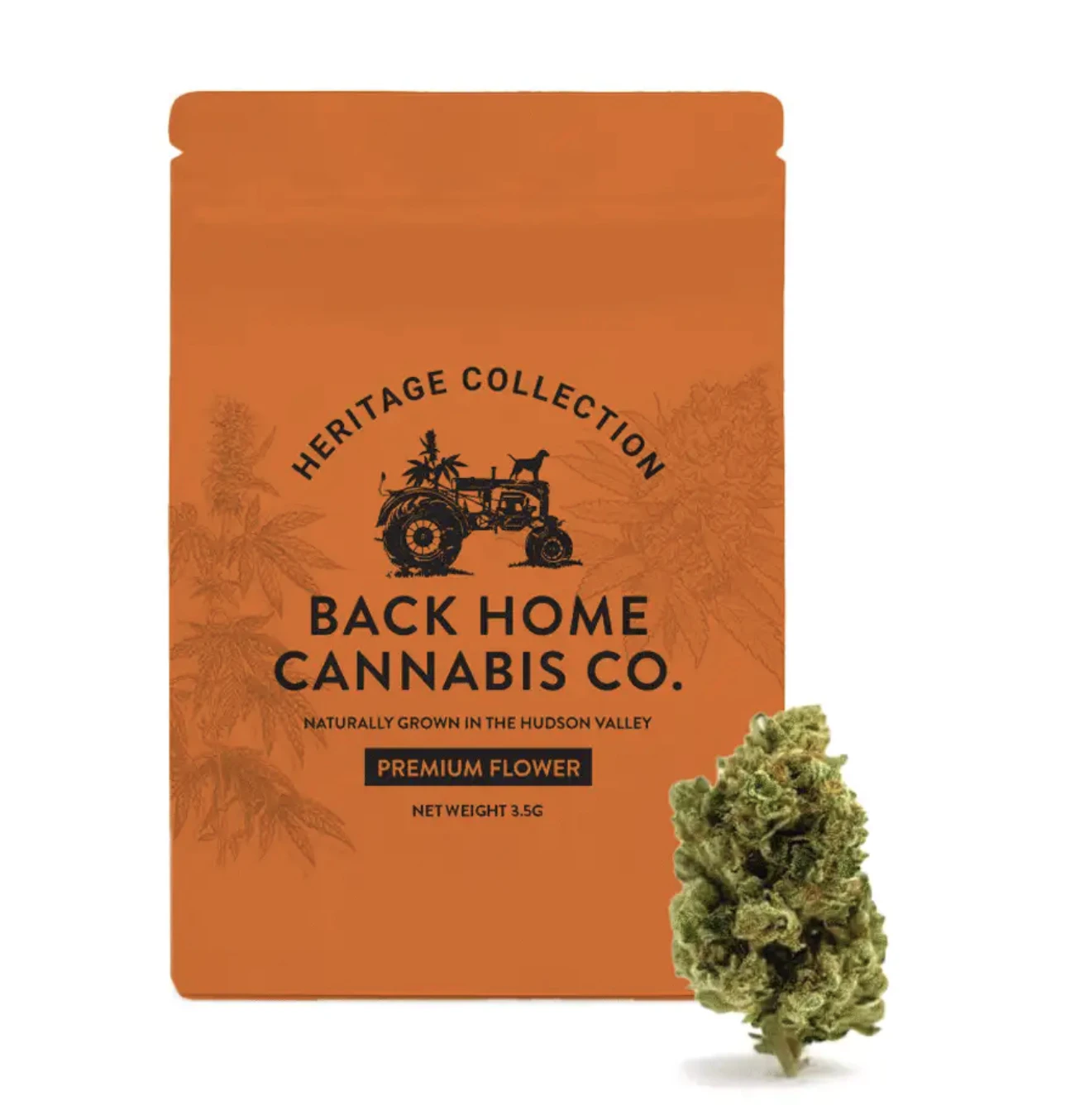 Back Home Cannabis Co. - Acapulco Gold - 3.5g Flower Main Image